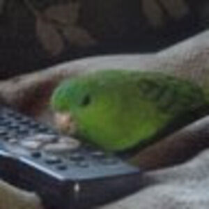 Meet your Posher, Andrée